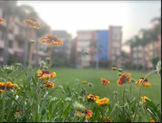IIMT University Meerut Campus photo 2